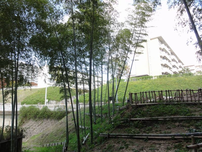 DSC054600270