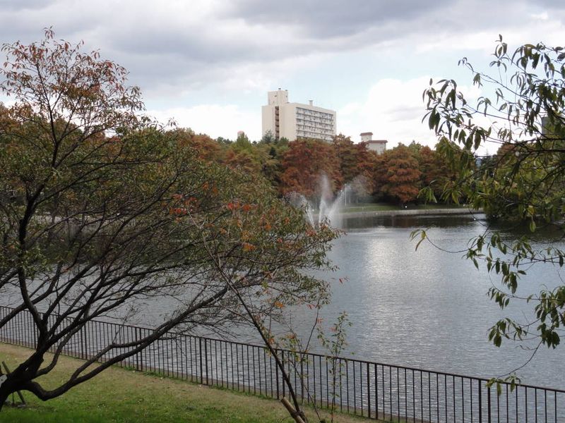 DSC054360246