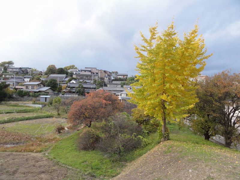 DSC066200302