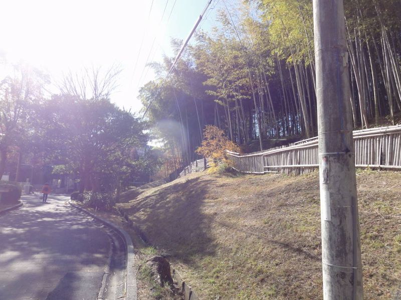 DSC089000253