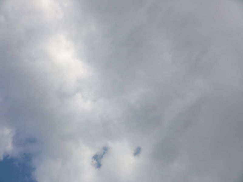 DSC091980385