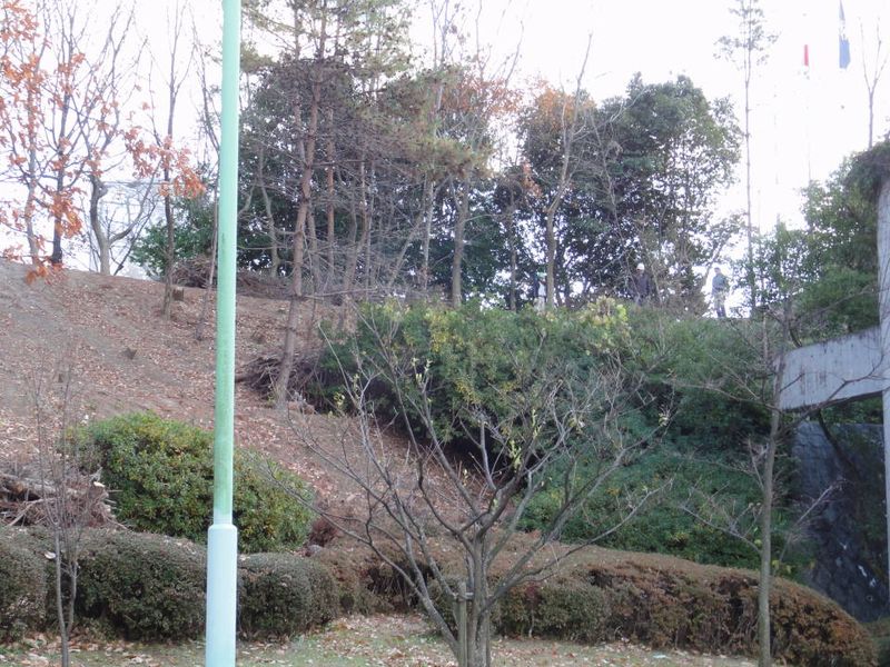 DSC094150313
