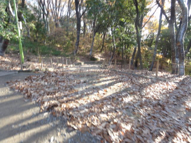 DSC014000321
