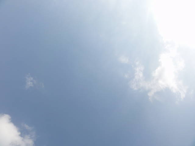 DSC039470373