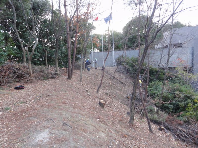 DSC094310329