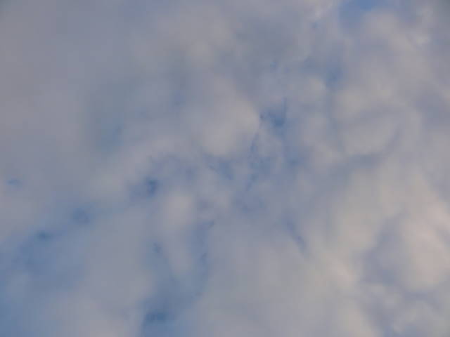 DSC012990220 DSC012990220