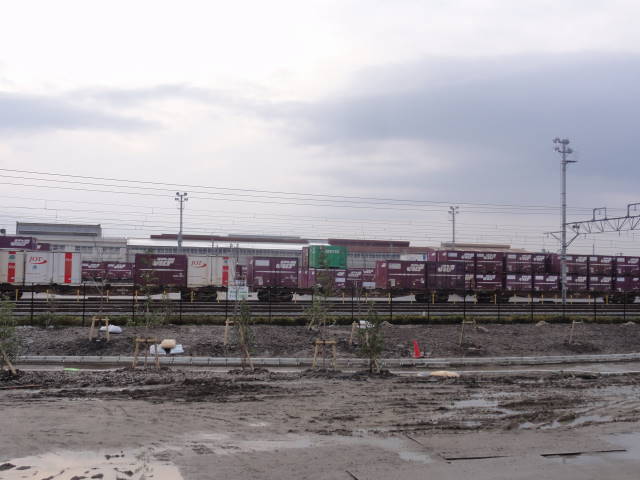 DSC019860269