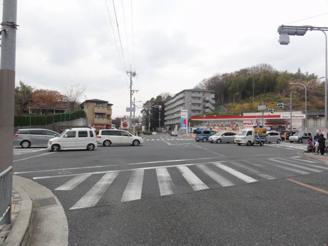 DSC040040430 DSC040040430