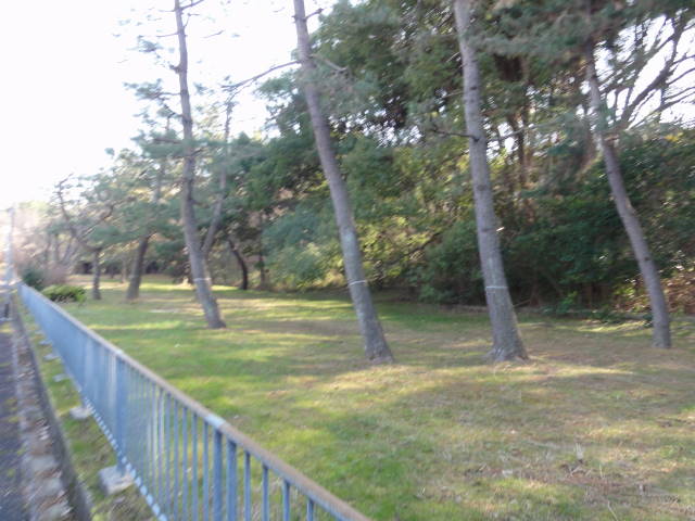 DSC026740319