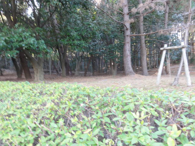 DSC026870503