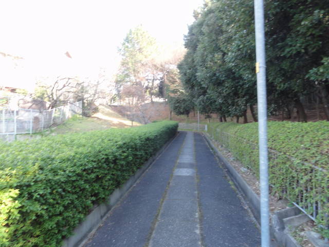 DSC026890505