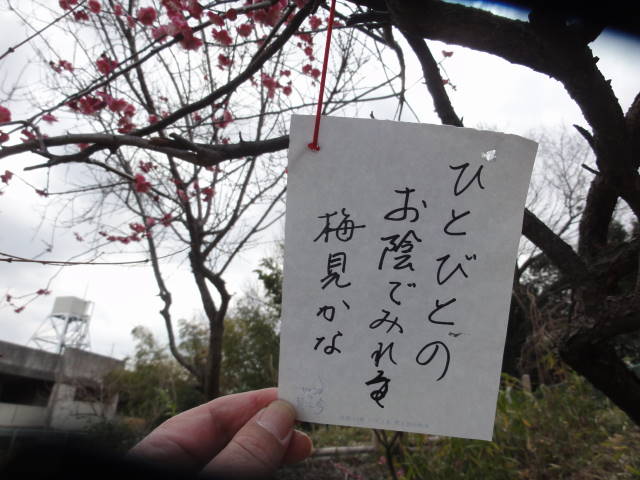 DSC00390