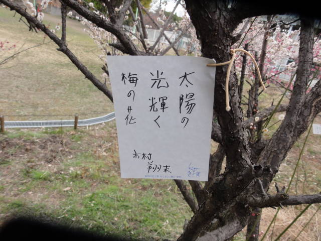 DSC00397