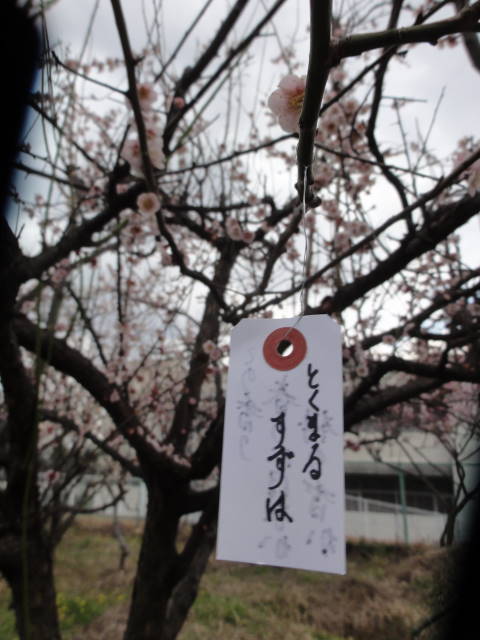DSC00410