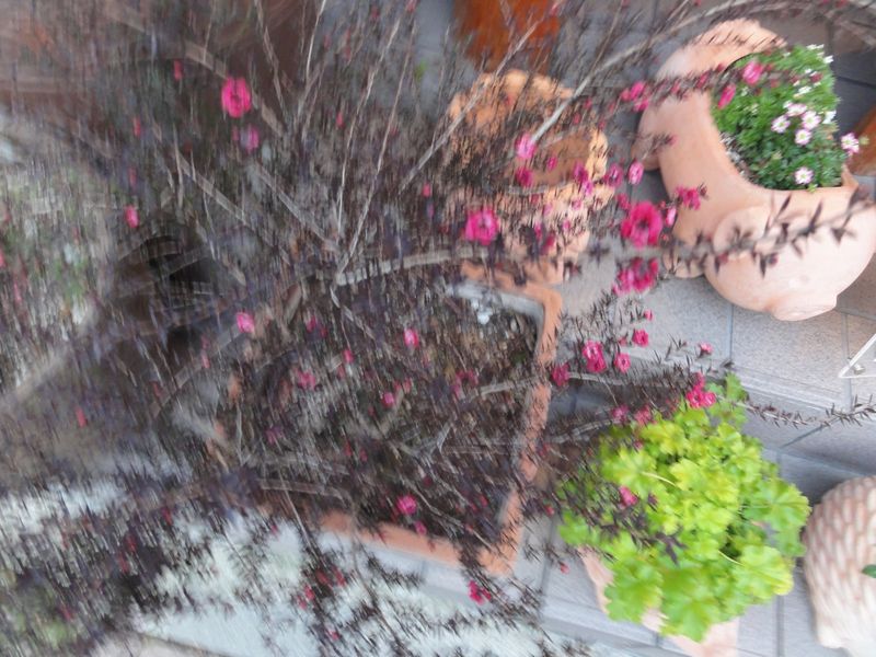 DSC02028