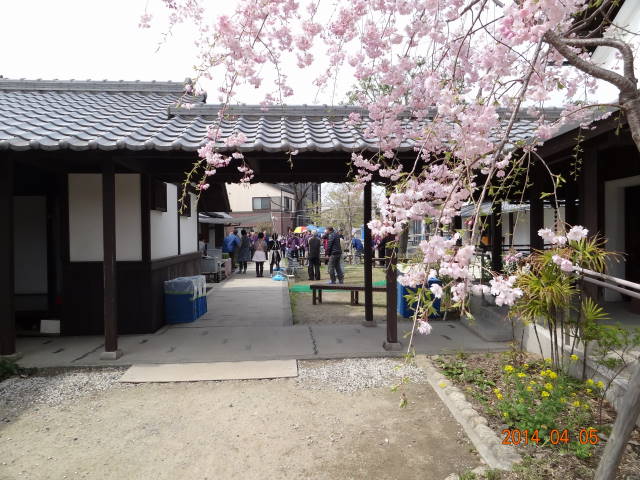 DSC00242