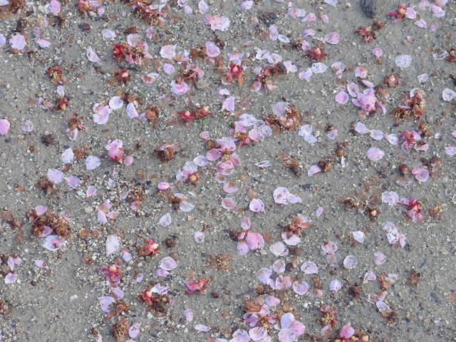 DSC04480