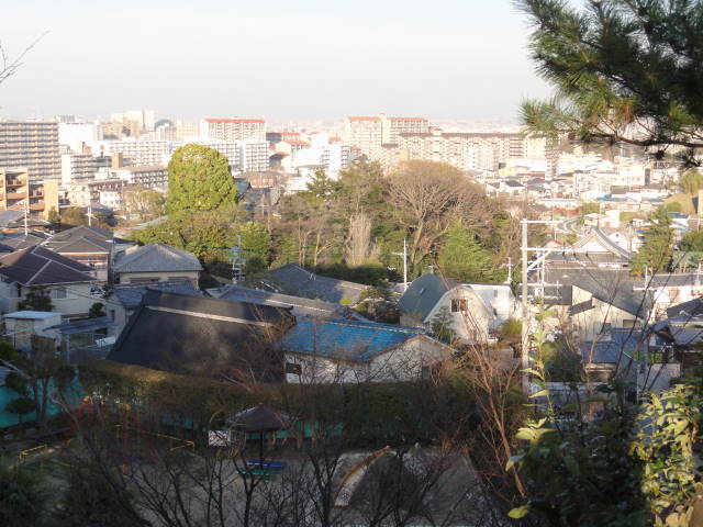 DSC05537