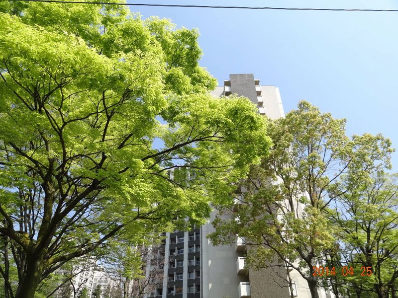 DSC00307