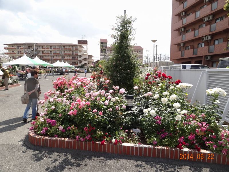 DSC00605