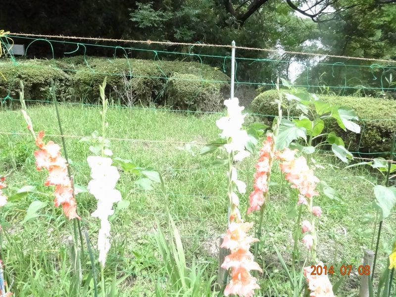 DSC04901