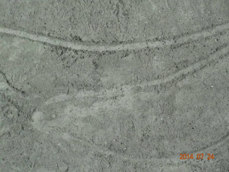 DSC08883