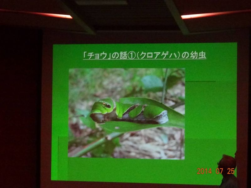 DSC09238 (1)