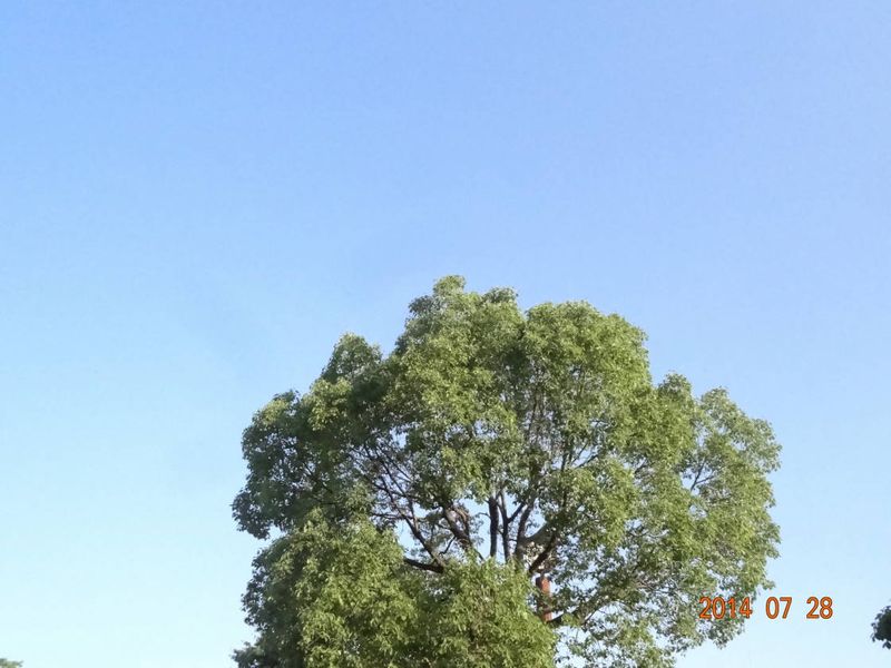 DSC00196
