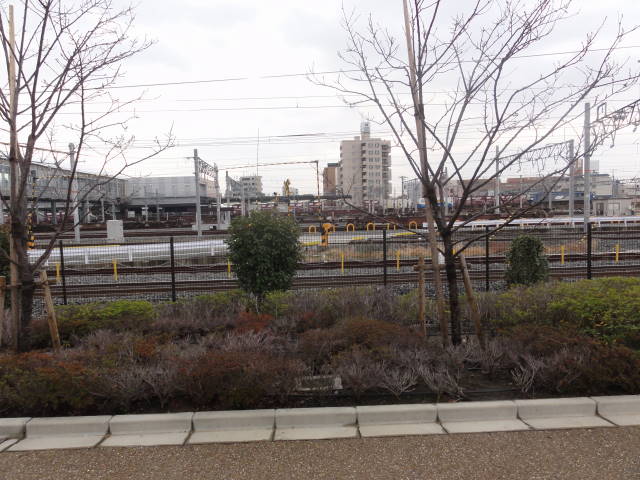DSC022470530
