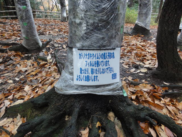 DSC023150598
