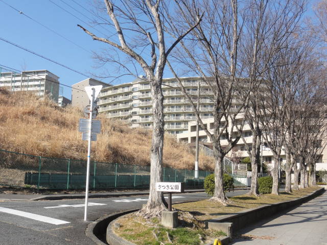 DSC026700315