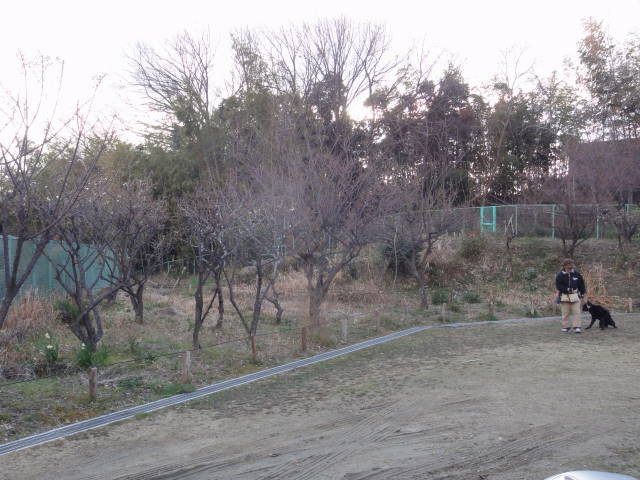 DSC061950226
