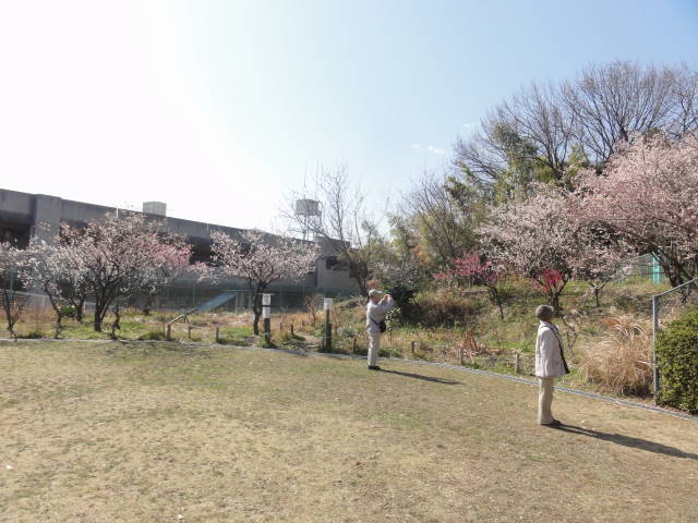 DSC00335
