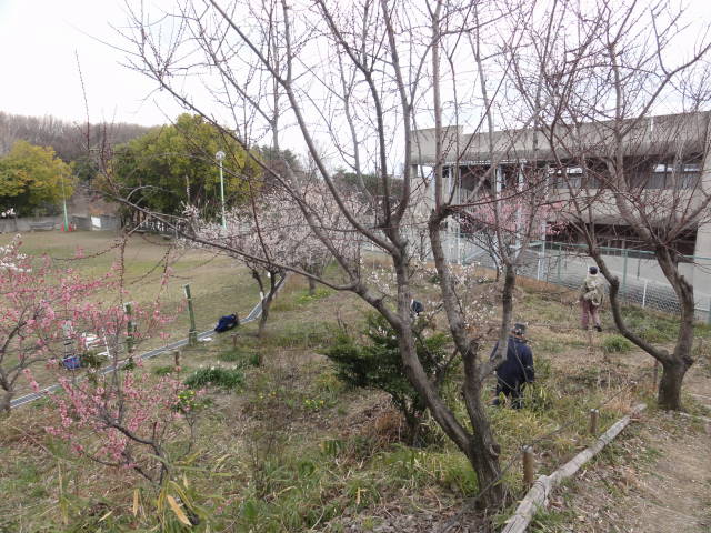 DSC00388