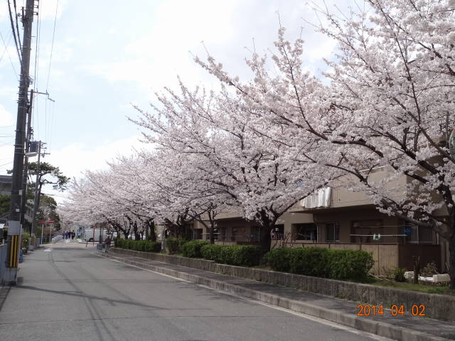 DSC08727