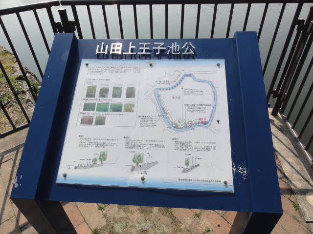 DSC04919