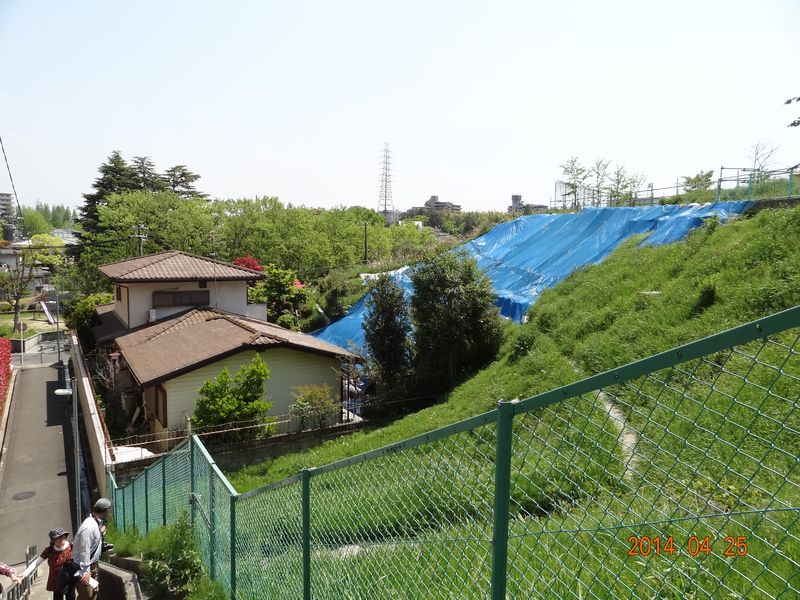 DSC00730