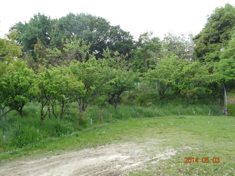 DSC08639