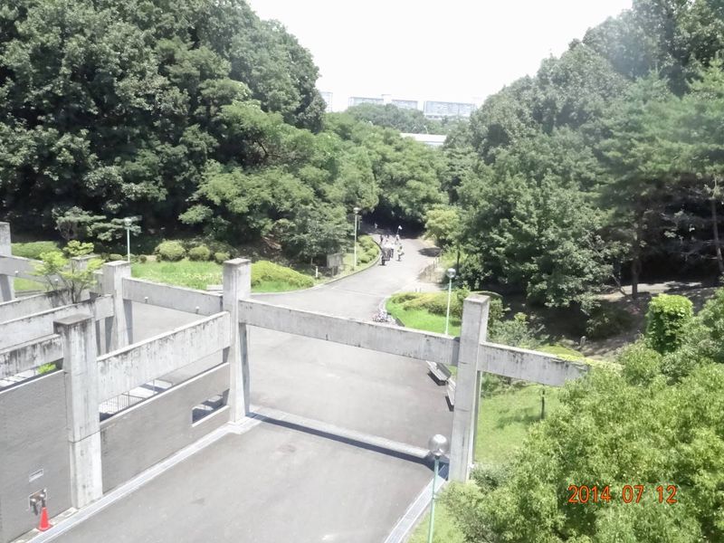 DSC05546