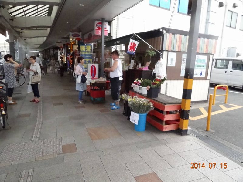 DSC06205