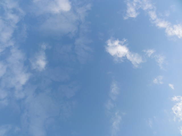 DSC020760328
