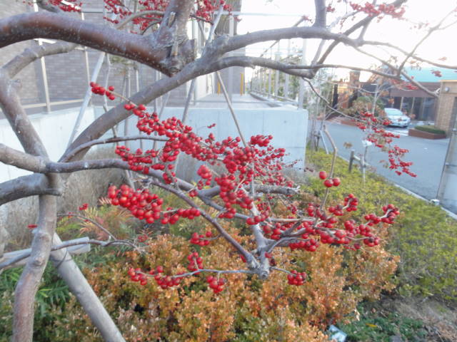 DSC022690261