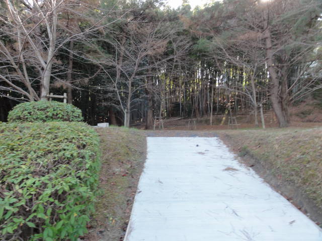 DSC026830328