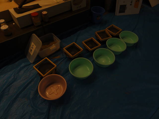 DSC031320299