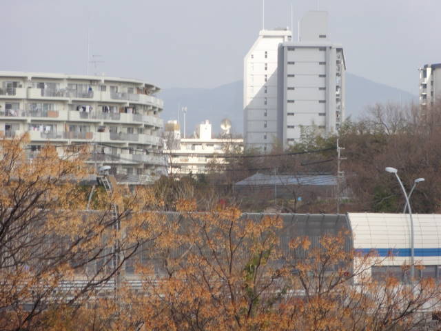 DSC031420309