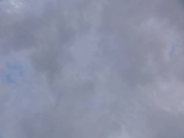 DSC070910221