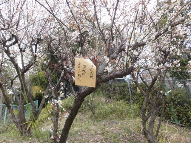 DSC00391