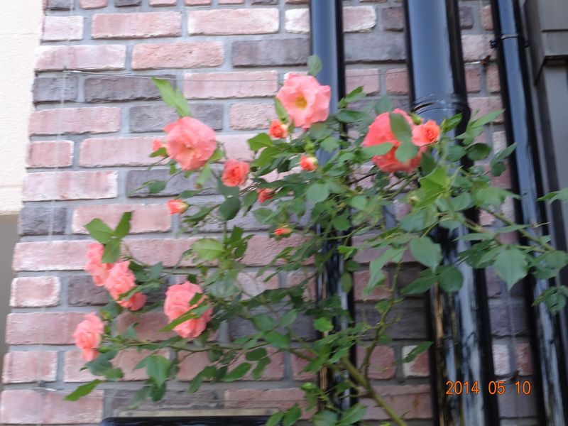 DSC07158