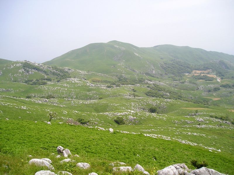 Hiraodai_(Geographical_features_in_karst)_Fukuoka,JAPAN