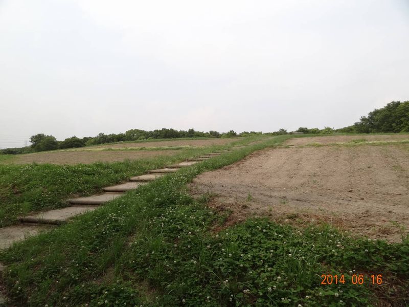DSC09538